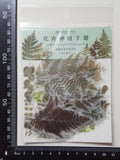 Stickers - Ferns & Leaves - (SP-4159)